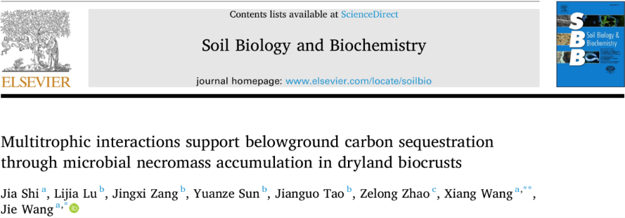 人才强校 | 土地学院王祥/资环学院汪杰团队在土壤碳过程研究中取得进展